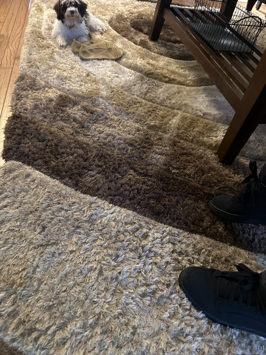 Carpet spot cleaning result