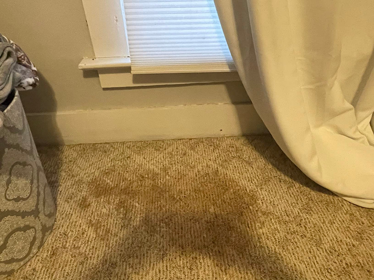 Customer photo